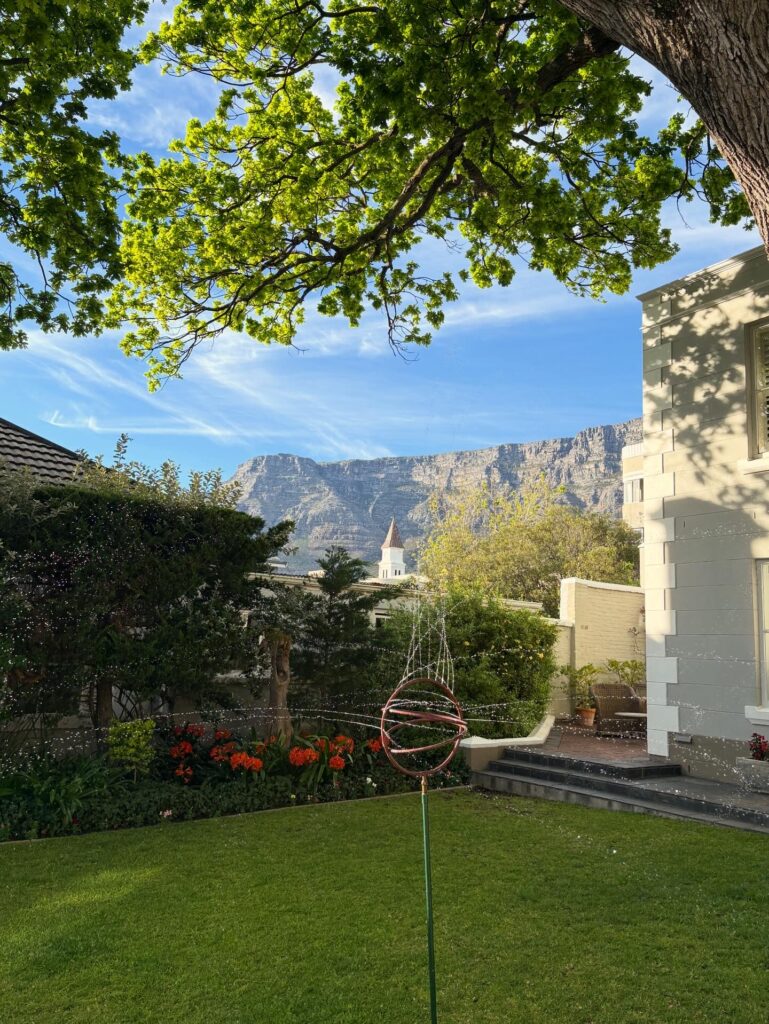 The garden view